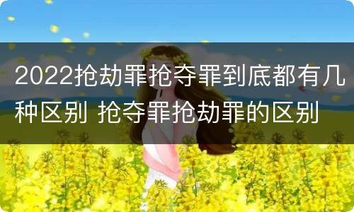 2022抢劫罪抢夺罪到底都有几种区别 抢夺罪抢劫罪的区别