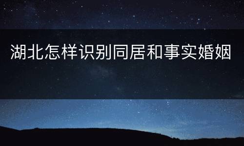 湖北怎样识别同居和事实婚姻