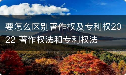 要怎么区别著作权及专利权2022 著作权法和专利权法