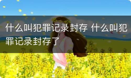 什么叫犯罪记录封存 什么叫犯罪记录封存了