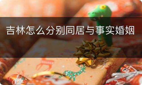 吉林怎么分别同居与事实婚姻
