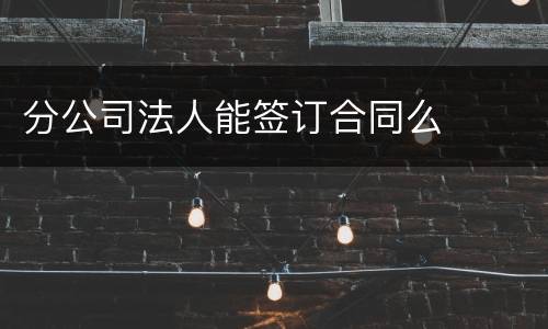 分公司法人能签订合同么