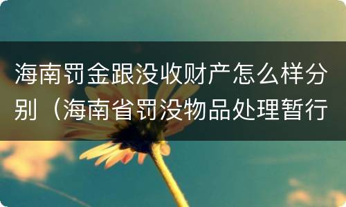 海南罚金跟没收财产怎么样分别（海南省罚没物品处理暂行办法）