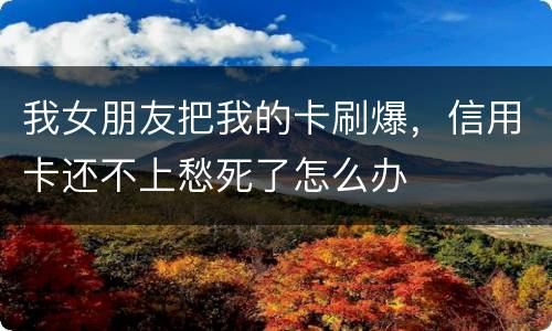 我女朋友把我的卡刷爆，信用卡还不上愁死了怎么办