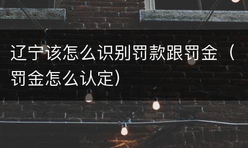 辽宁该怎么识别罚款跟罚金（罚金怎么认定）