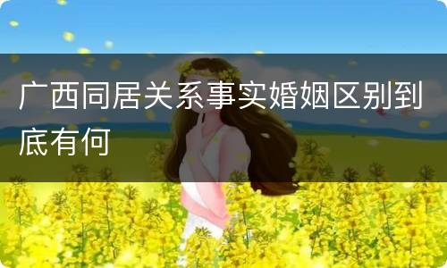 广西同居关系事实婚姻区别到底有何