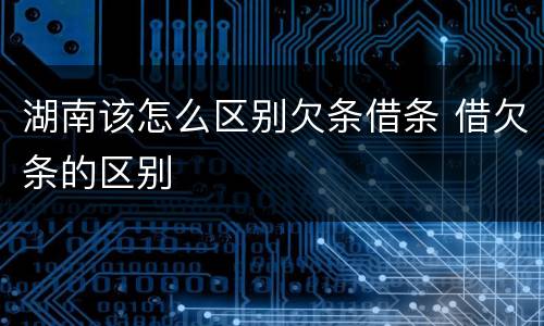 湖南该怎么区别欠条借条 借欠条的区别
