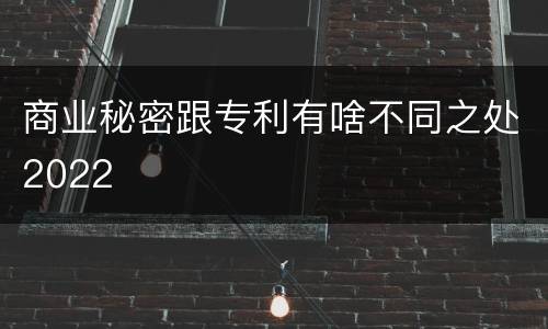 商业秘密跟专利有啥不同之处2022