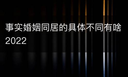 事实婚姻同居的具体不同有啥2022