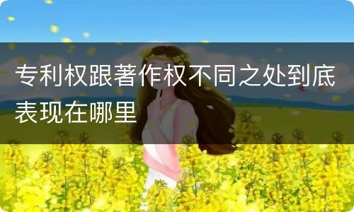 专利权跟著作权不同之处到底表现在哪里