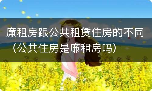 廉租房跟公共租赁住房的不同（公共住房是廉租房吗）