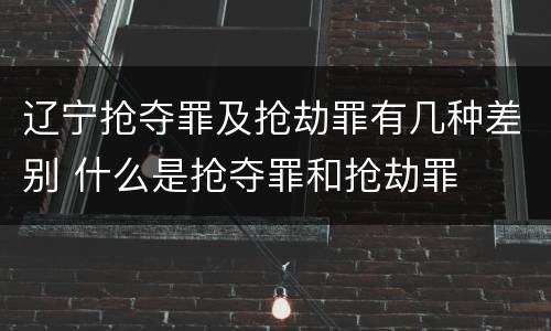 辽宁抢夺罪及抢劫罪有几种差别 什么是抢夺罪和抢劫罪