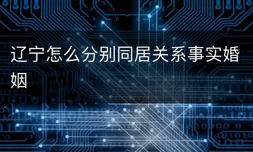 辽宁怎么分别同居关系事实婚姻