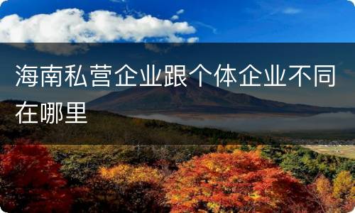 海南私营企业跟个体企业不同在哪里