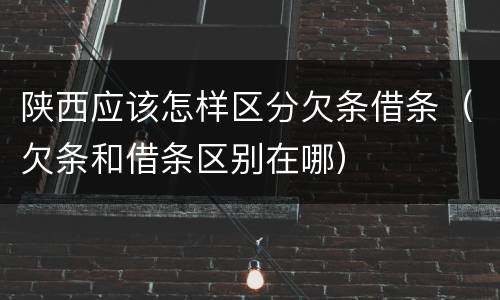 陕西应该怎样区分欠条借条（欠条和借条区别在哪）