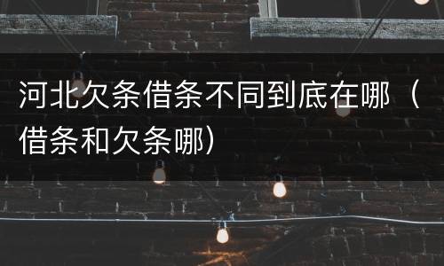 河北欠条借条不同到底在哪（借条和欠条哪）