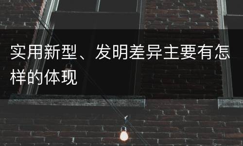实用新型、发明差异主要有怎样的体现