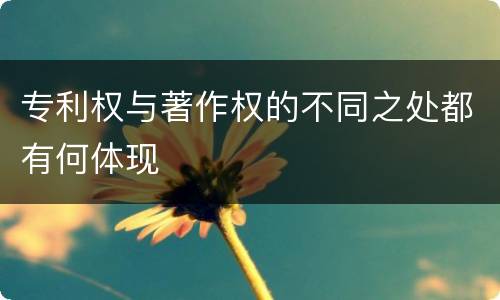 专利权与著作权的不同之处都有何体现