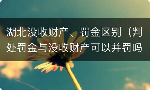 湖北没收财产、罚金区别（判处罚金与没收财产可以并罚吗）