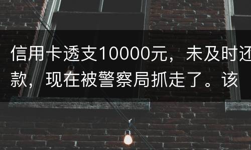 信用卡透支10000元，未及时还款，现在被警察局抓走了。该如何处理