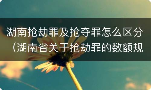 湖南抢劫罪及抢夺罪怎么区分（湖南省关于抢劫罪的数额规定）