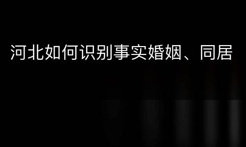 河北如何识别事实婚姻、同居