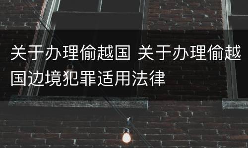 关于办理偷越国 关于办理偷越国边境犯罪适用法律