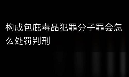 构成包庇毒品犯罪分子罪会怎么处罚判刑