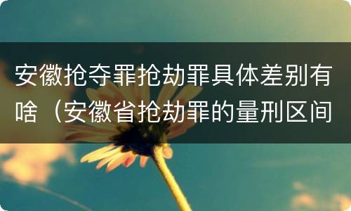 安徽抢夺罪抢劫罪具体差别有啥（安徽省抢劫罪的量刑区间和量刑情节）