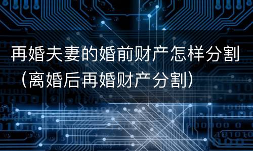 再婚夫妻的婚前财产怎样分割（离婚后再婚财产分割）