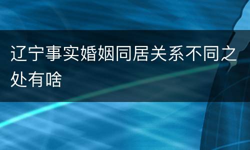 辽宁事实婚姻同居关系不同之处有啥