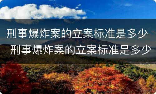 刑事爆炸案的立案标准是多少 刑事爆炸案的立案标准是多少天