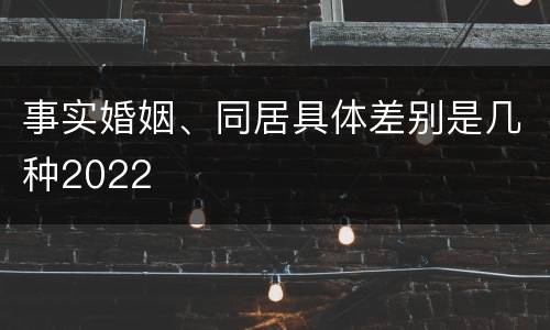 事实婚姻、同居具体差别是几种2022