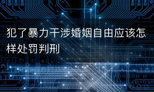 犯了暴力干涉婚姻自由应该怎样处罚判刑