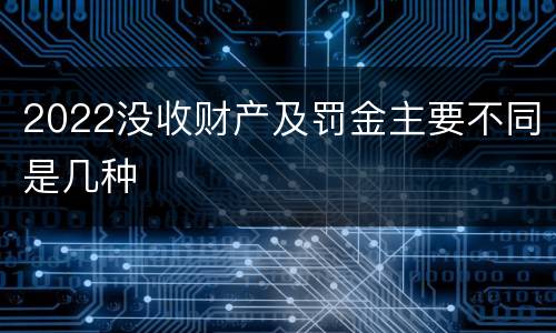 2022没收财产及罚金主要不同是几种