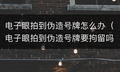 电子眼拍到伪造号牌怎么办（电子眼拍到伪造号牌要拘留吗）