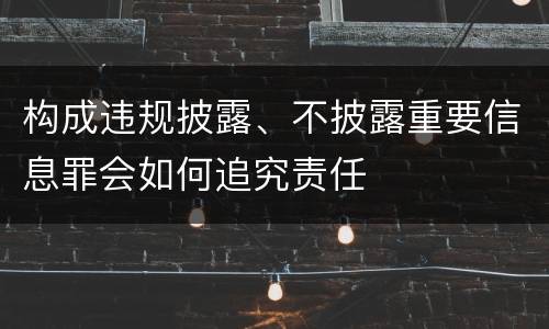 构成违规披露、不披露重要信息罪会如何追究责任
