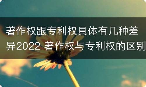 著作权跟专利权具体有几种差异2022 著作权与专利权的区别