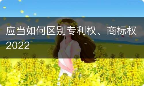 应当如何区别专利权、商标权2022