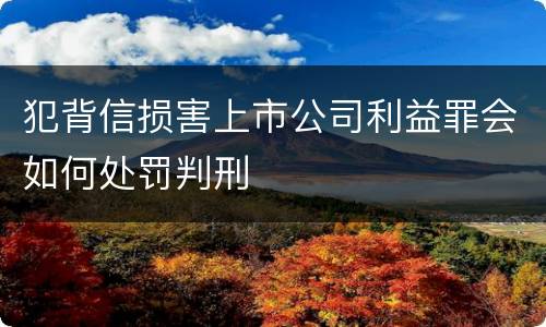 犯背信损害上市公司利益罪会如何处罚判刑