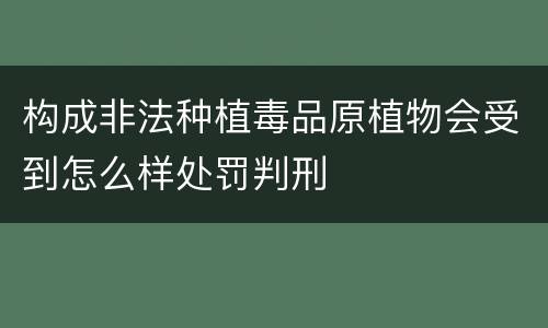 构成非法种植毒品原植物会受到怎么样处罚判刑