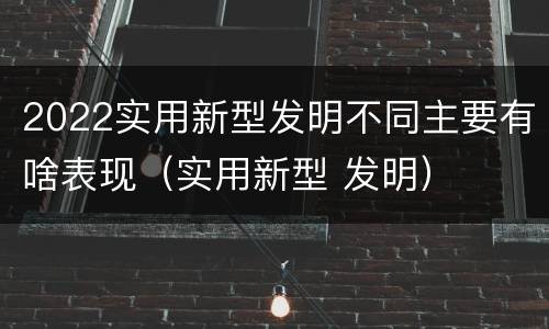 2022实用新型发明不同主要有啥表现（实用新型 发明）