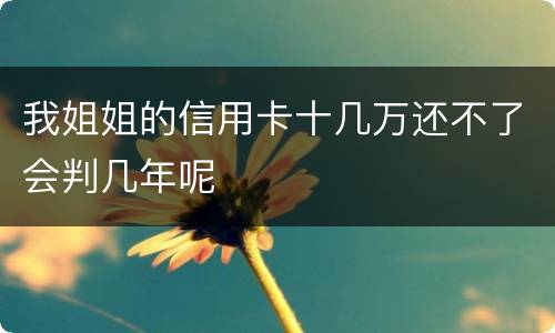 我姐姐的信用卡十几万还不了会判几年呢