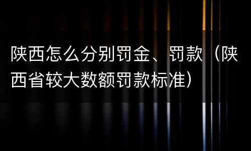 陕西怎么分别罚金、罚款（陕西省较大数额罚款标准）