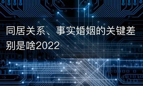 同居关系、事实婚姻的关键差别是啥2022
