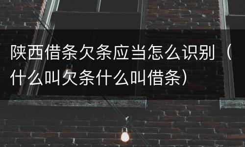 陕西借条欠条应当怎么识别（什么叫欠条什么叫借条）