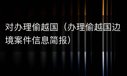 对办理偷越国（办理偷越国边境案件信息简报）
