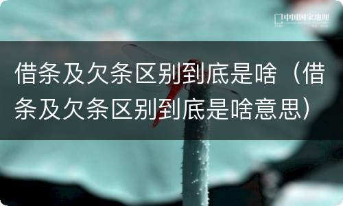 借条及欠条区别到底是啥（借条及欠条区别到底是啥意思）