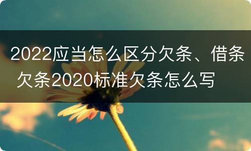 2022应当怎么区分欠条、借条 欠条2020标准欠条怎么写