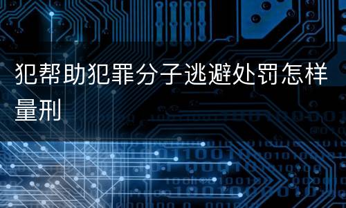 犯帮助犯罪分子逃避处罚怎样量刑